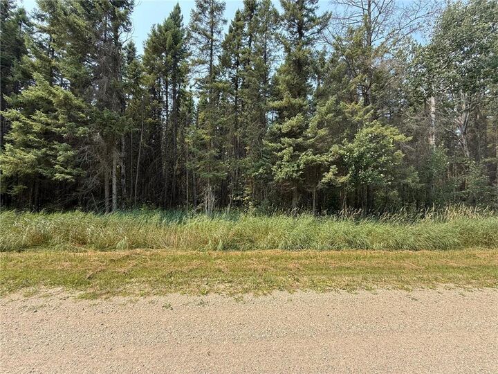 Property Photo: Tbd 40 Acres Sunflower MN 56650