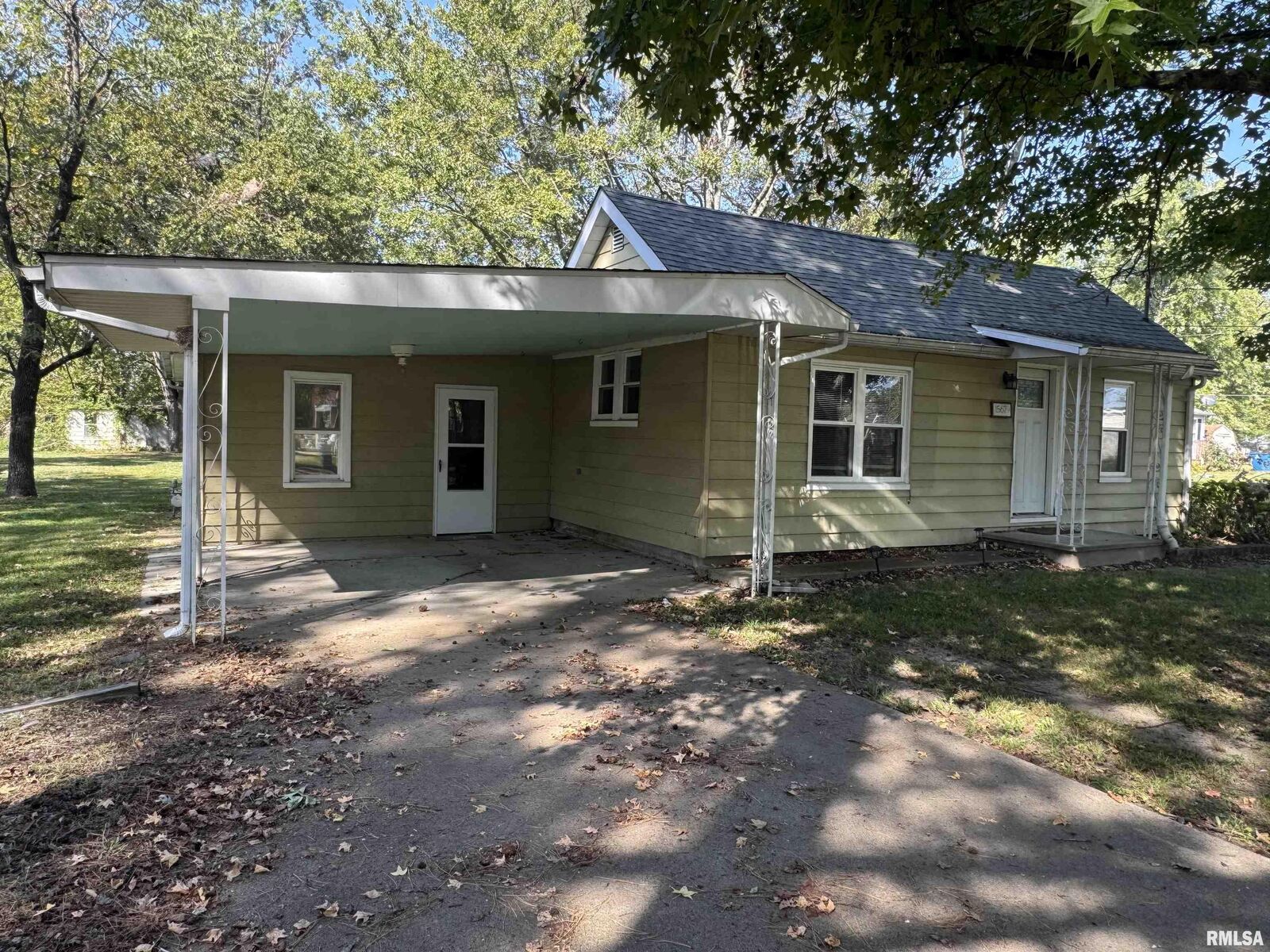 Property Photo:  15679 Bessie Street  IL 62884 