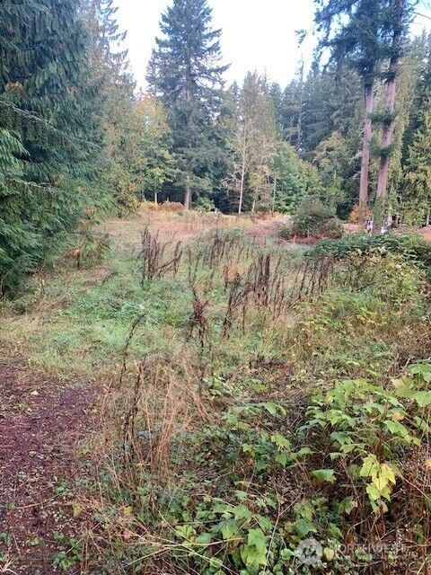 Property Photo:  3539  278th Place NE  WA 98053 