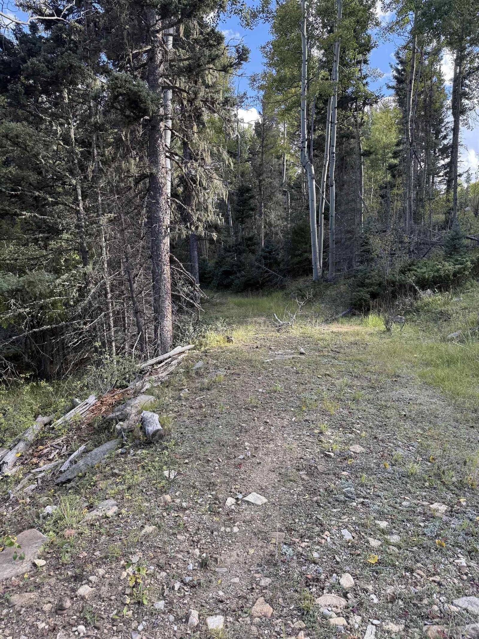 Property Photo: Lot 77 Via De Maria NM 87710