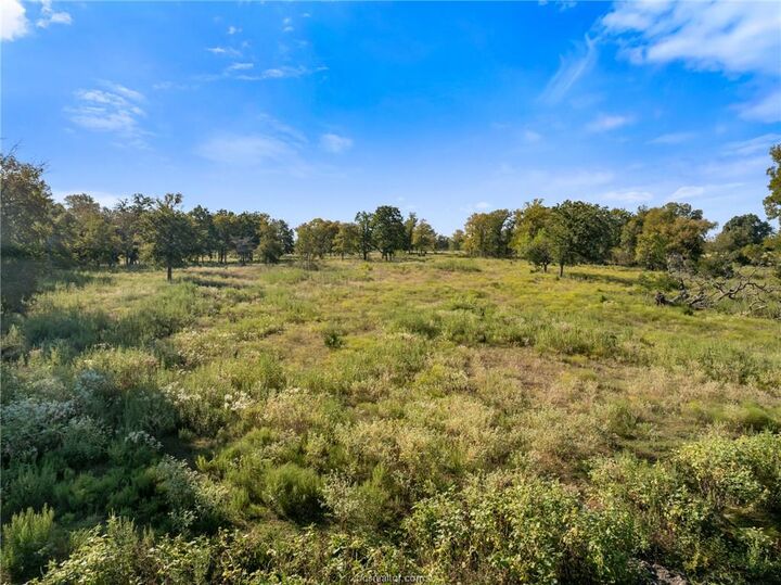 Property Photo:  Tbd County Road 185  TX 77830 