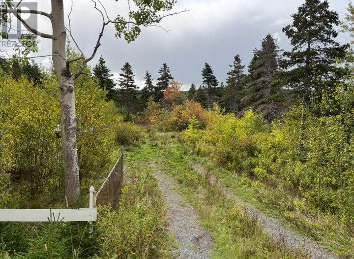 48-50 East Highway  Victoria NL A0A 3B0 photo