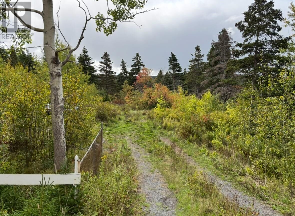 Property Photo:  48-50 East Highway  NL A0A 3B0 