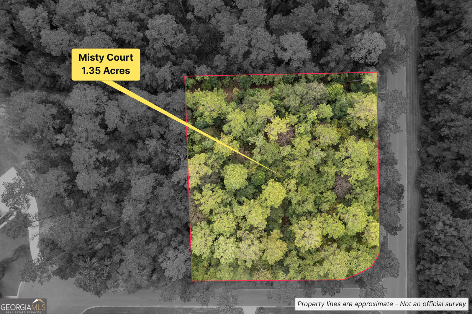 Property Photo:  V/L 173A Misty Harbor  GA 31569 