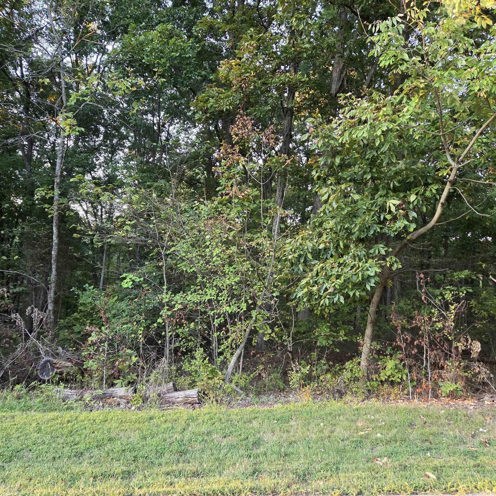 Property Photo:  0 W Chestnut By The Fire Street  IN 47579 