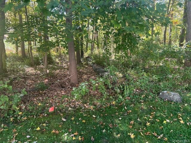 Property Photo:  Lot 27 Cobblers Way  NY 10567 