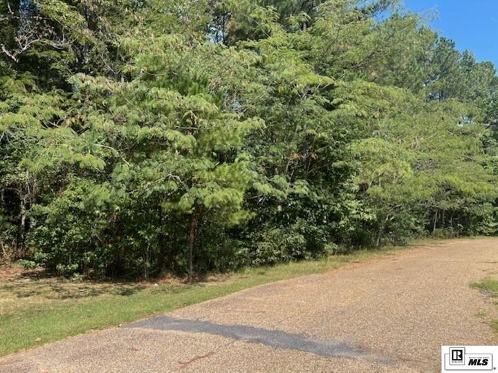 Property Photo: 119 Cove View Road LA 71245