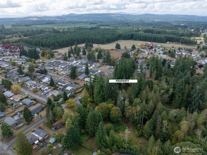 Property Photo:  0 NW 6th Avenue  WA 98532 