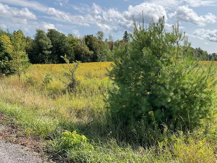 Property Photo: 1211 Bellamy Road ON K0A 2X0