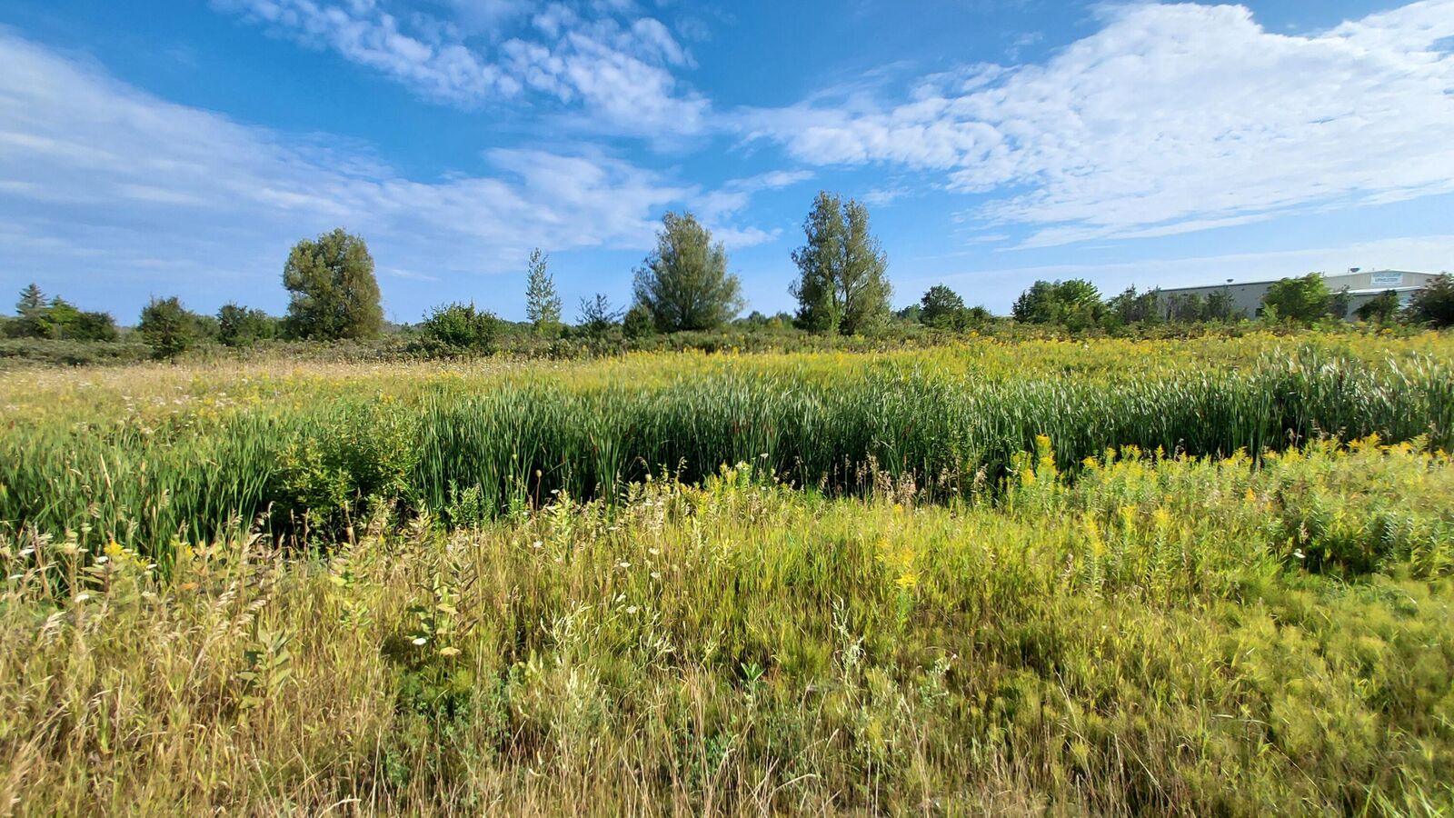 Property Photo: V/L 55-+Ac E State Street MI 49721