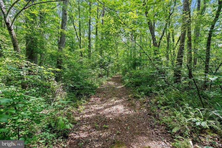 Property Photo: 9671 Marlette Drive VA 20181