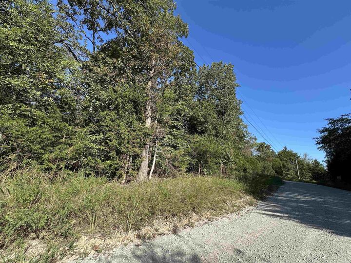 Property Photo: Lots 1 &Amp 2 Round Mountain Drive AR 72634