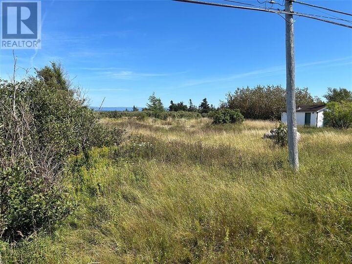 Property Photo:  124 Main Street  NL A0N 2E0 