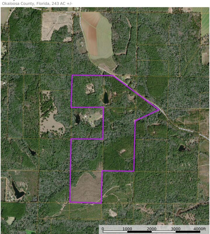 Property Photo:  3350 New Ebenezer Road  FL 32567 