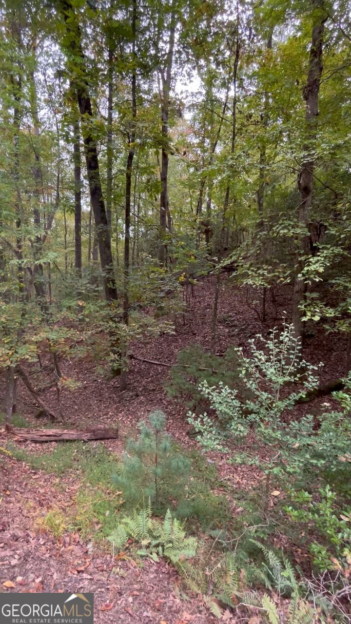 Property Photo: 0 Lower Gap Road Lowr Gap GA 30571