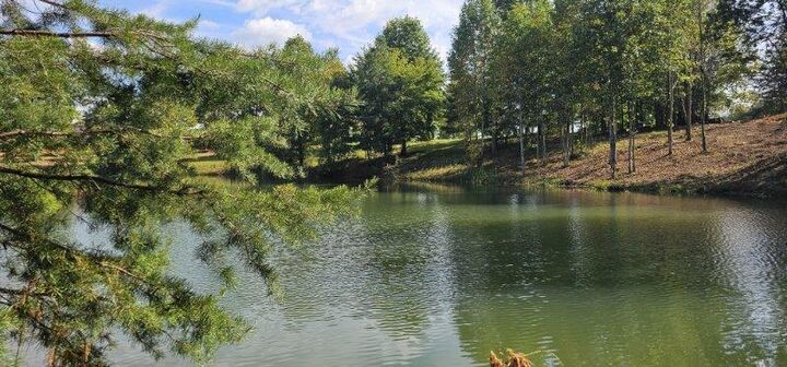 Property Photo:  Lot 515 Wilderness Way  TN 37327 