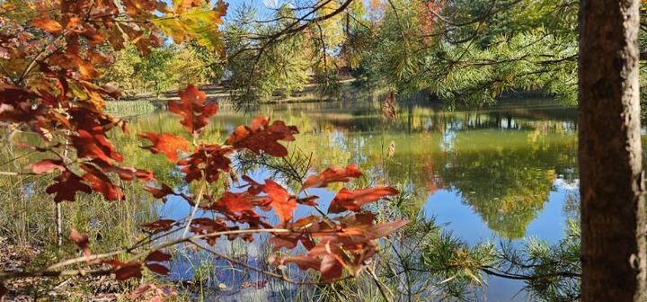 Property Photo:  Lot 515 Wilderness Way  TN 37327 