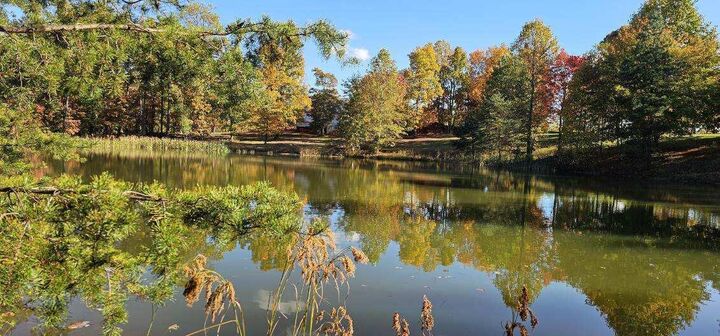Property Photo: Lot 515 Wilderness Way TN 37327