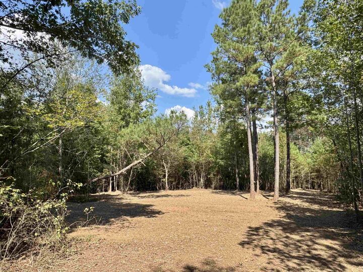 Property Photo:  000 Fm 2327  TX 75572 