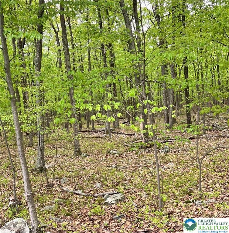 Property Photo: 209 Cherry Lane PA 18210