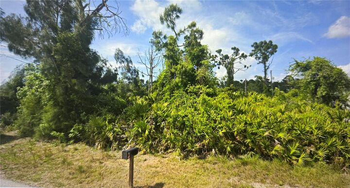 Property Photo:  13258 Drysdale Avenue  FL 33981 