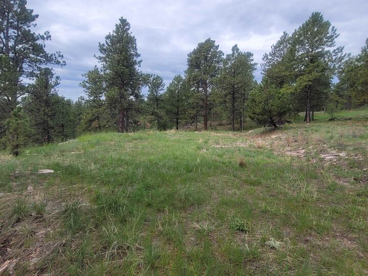 Property Photo:  24653 Outback Trail  SD 57744 
