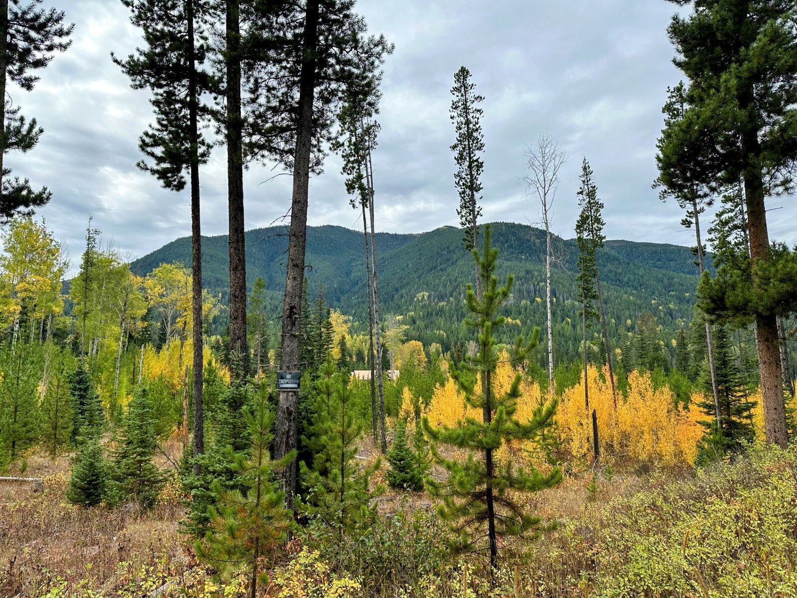 Property Photo:  Nhn Giefer Creek Road  MT 59916 