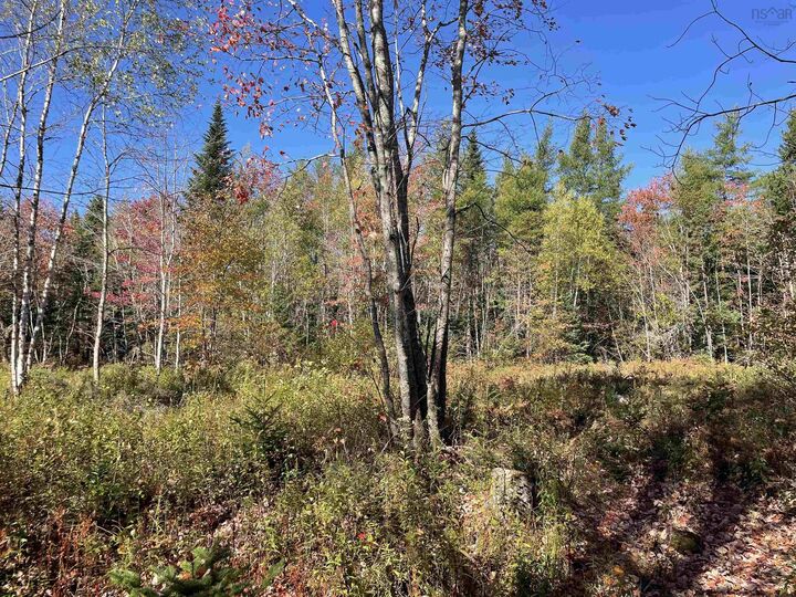 Property Photo:  T-1 Upper Clyde Road  NS B0T 1W0 