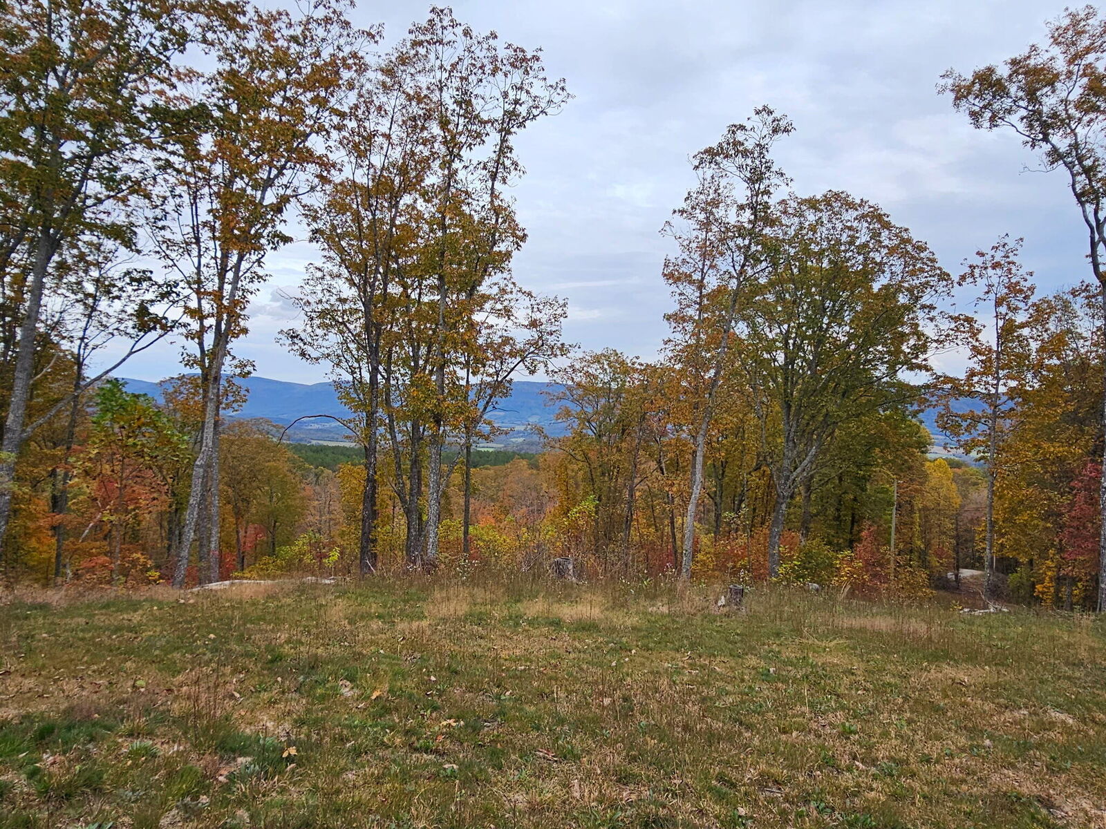 Property Photo:  0 Overview Road  TN 38555 