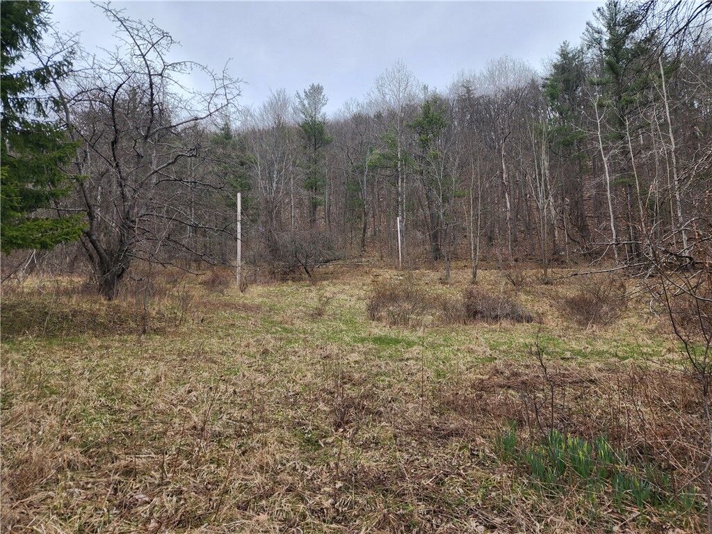 Property Photo: 6220 Feenaughty Hill Road S NY 14823