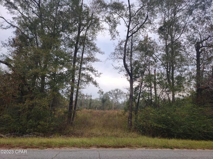 Property Photo: 00 Pioneer Road FL 32428