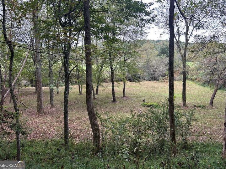 Property Photo: 445 Twin Creeks Road GA 30513