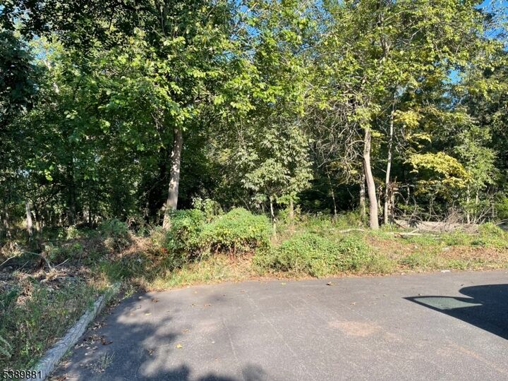 76 Woodland Rd  Piscataway Twp. NJ 08854 photo