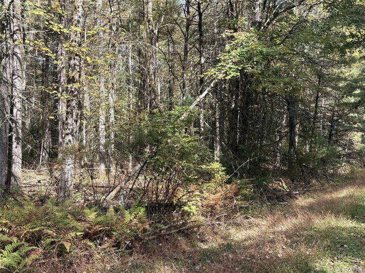 Property Photo: 17 Lot 17 Desmond Crossing NY 12720