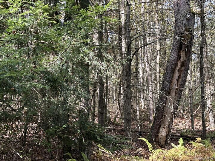 Property Photo: 17 Lot 17 Desmond Crossing NY 12720