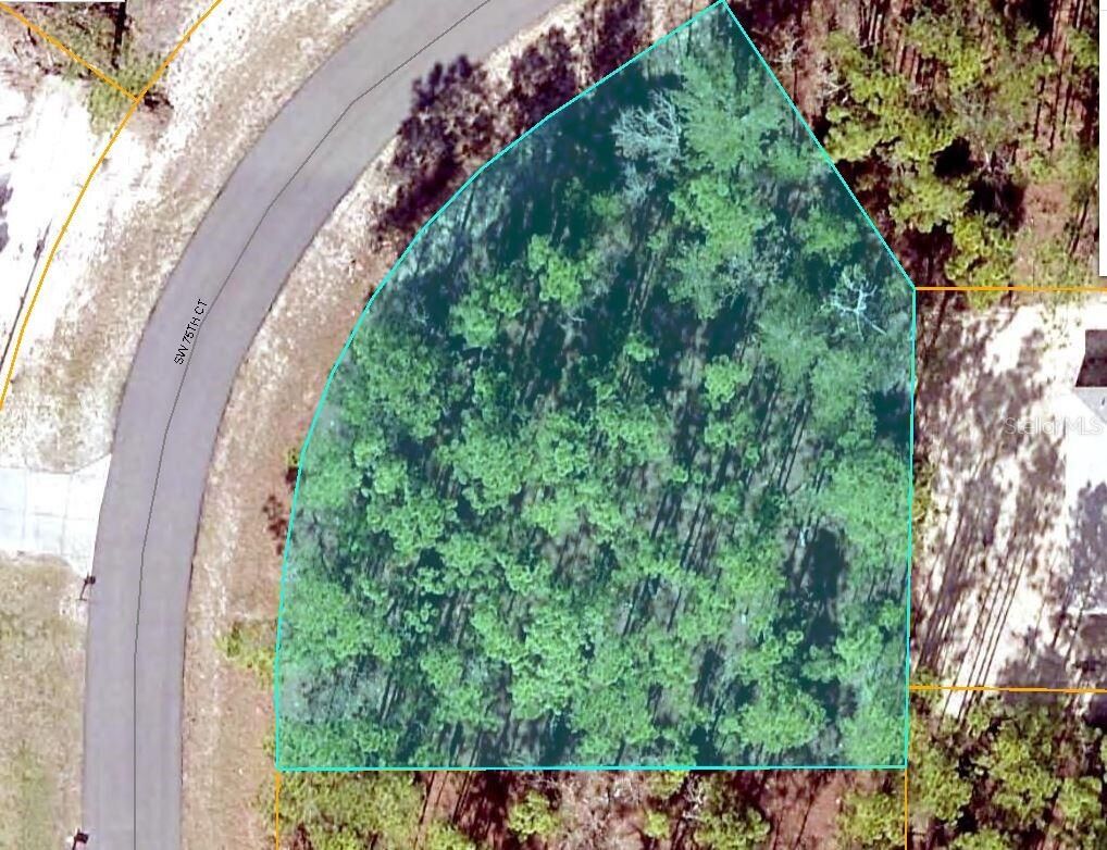 Property Photo:  SW 75th Court  FL 34473 