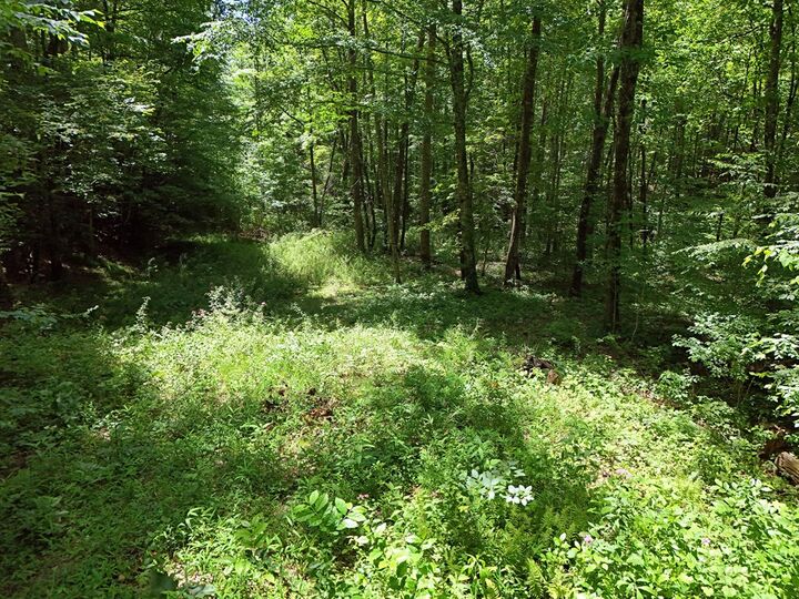 Property Photo:  15/15A Hightower Ridge  GA 30546