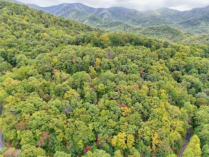 Property Photo: Lot 27 Skyview Drive NC 28904