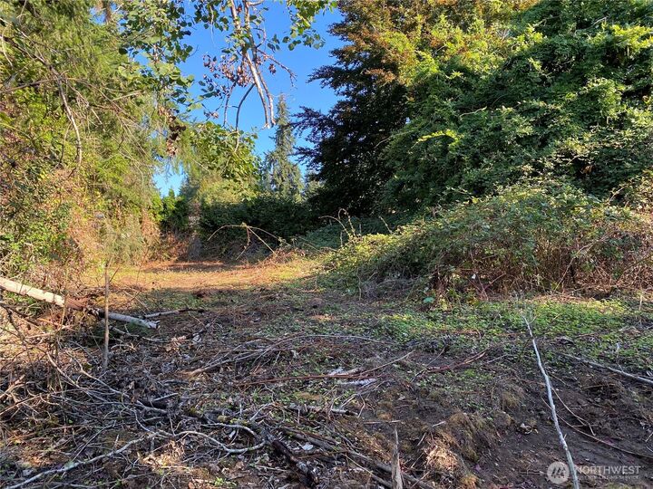 20343  75th Avenue NE  Kenmore WA 98028 photo