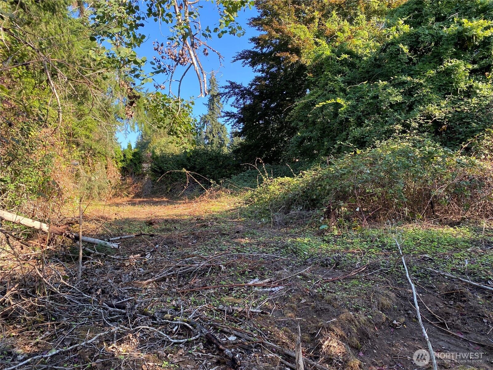 Property Photo:  20343  75th Avenue NE  WA 98028 