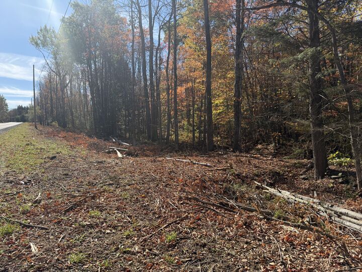 Property Photo: 000 Rand Hill Road NY 12910
