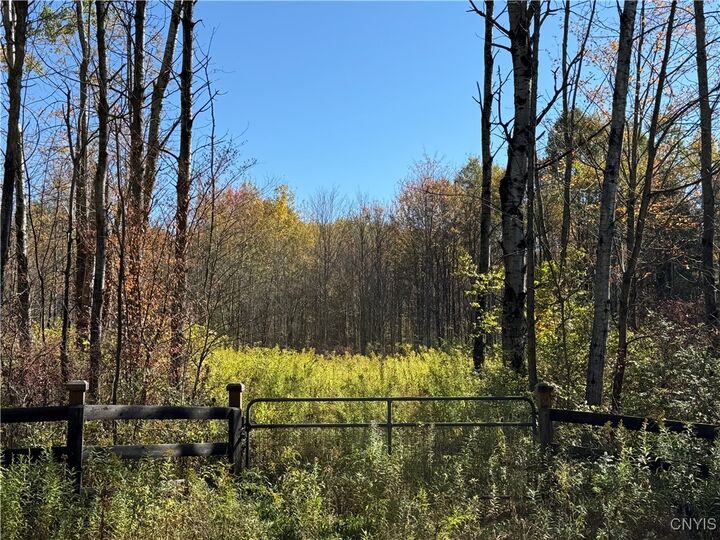 Shoemaker Road  Van Etten NY 14889 photo