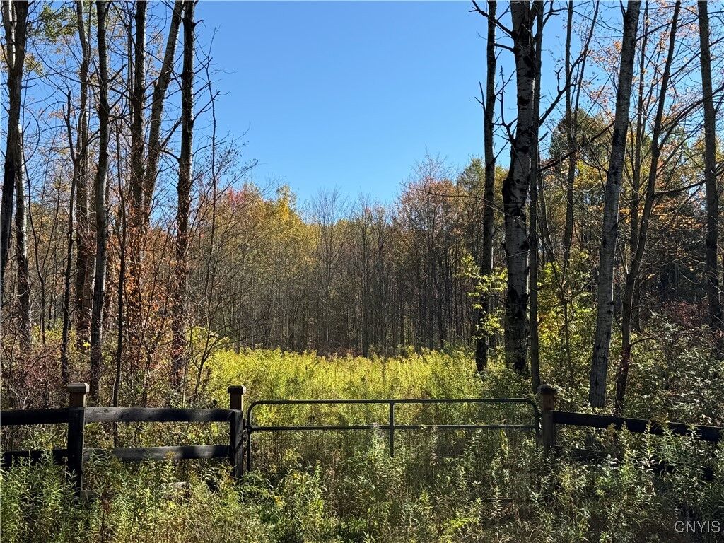 Property Photo: Shoemaker Road NY 14889