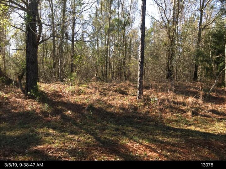 0 Old Nesbitt Rd  Cordele GA 31015 photo