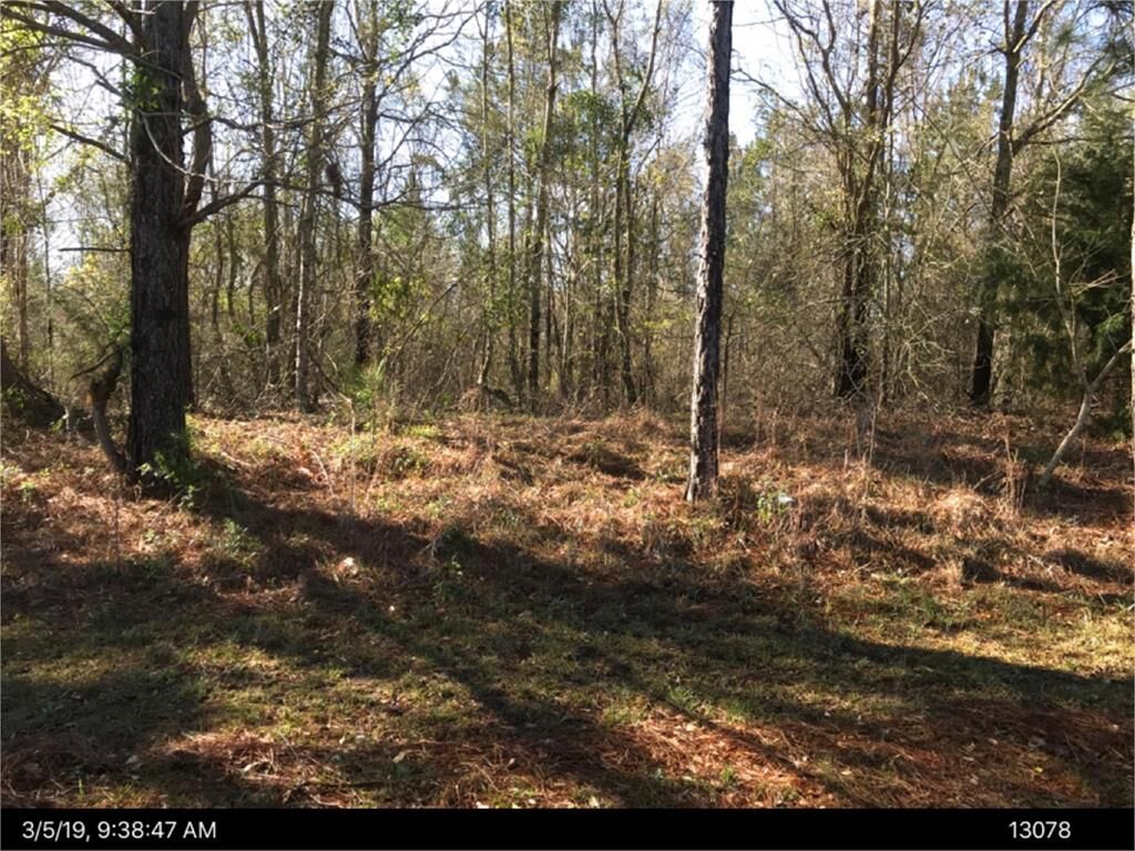 Property Photo: 0 Old Nesbitt Rd GA 31015