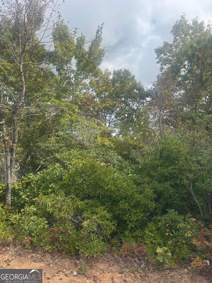 Property Photo: Lot 16 Brown Hawk Drive GA 30525