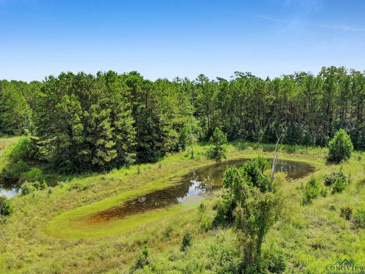 Property Photo: Tbd US Hwy 96 TX 75956