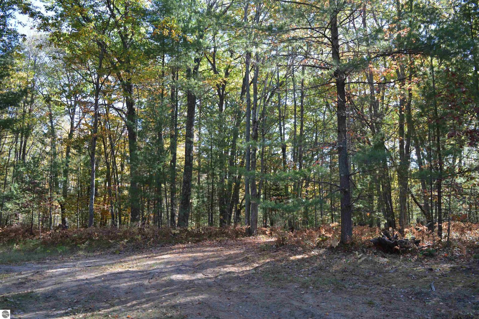 Property Photo: NE Rose Ridge Road MI 49646