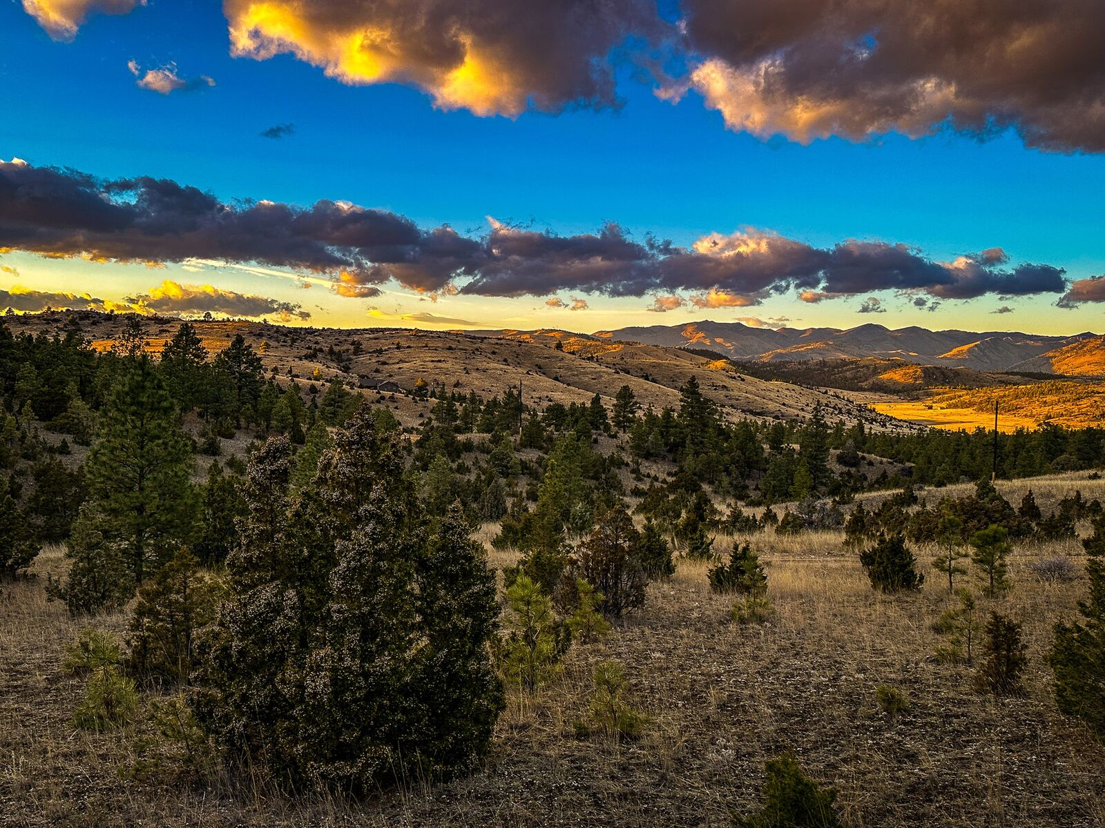 Property Photo:  6245 McGee Lane  MT 59602 