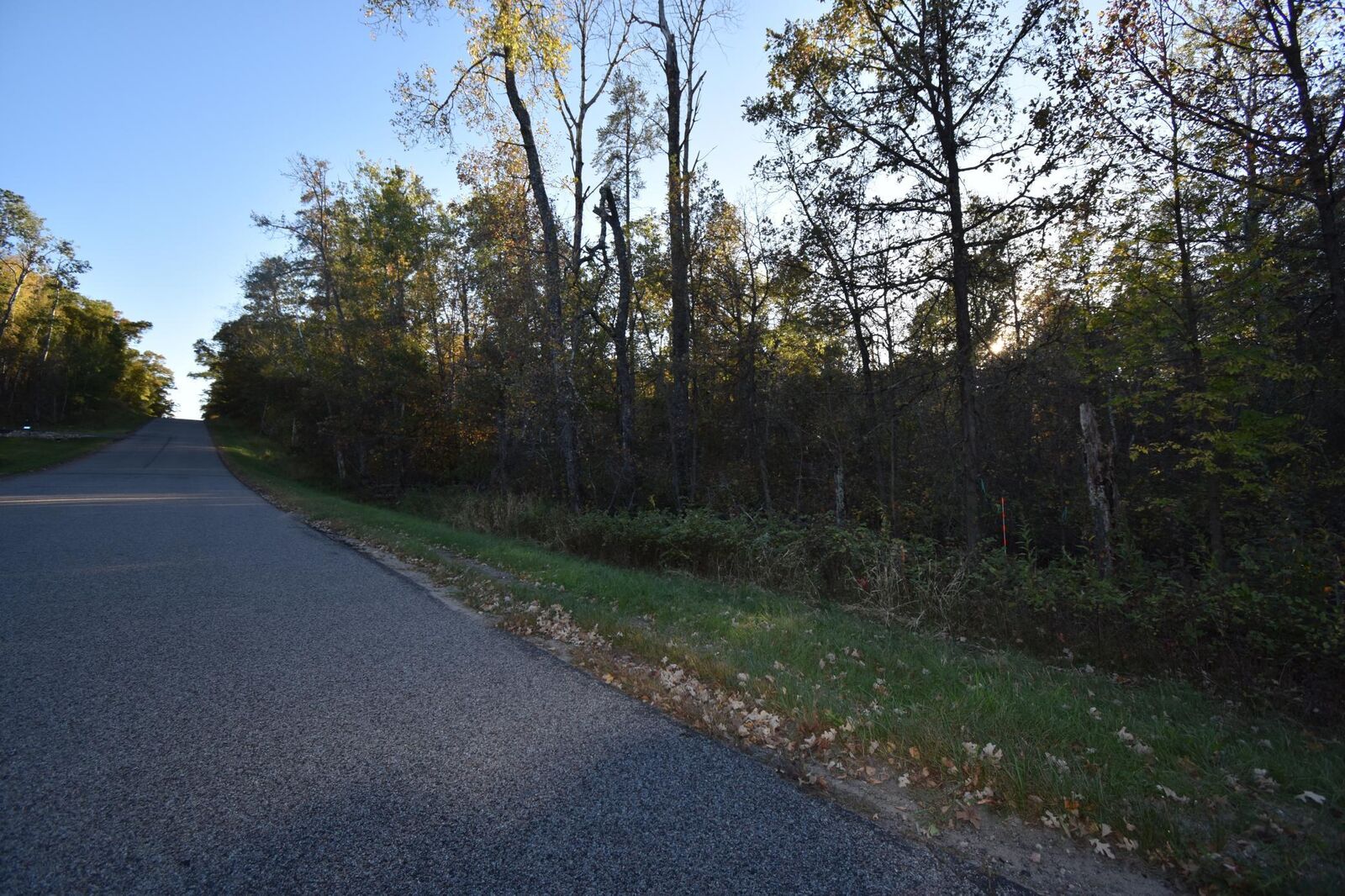 Property Photo: Tbd Belgian Drive MN 56472